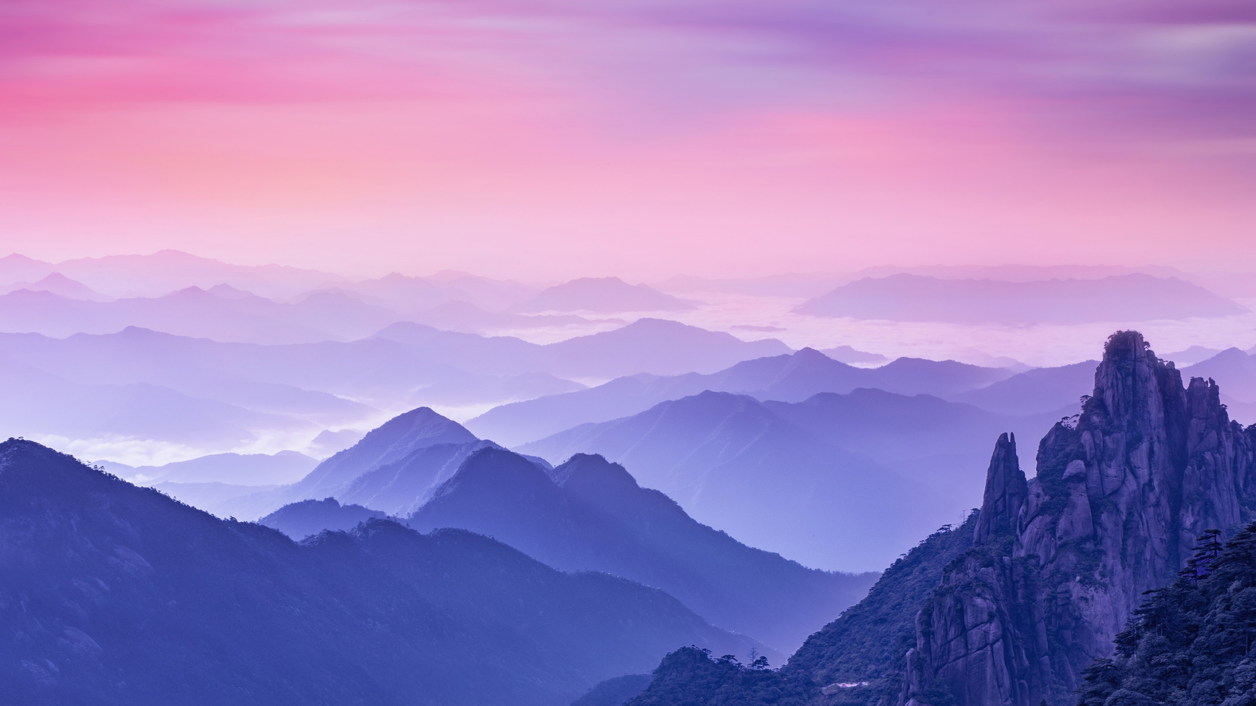 Обои Huawei, Huawei Mate, Huawei Mate 10, Huawei Mate 10 Pro, Хуавей Р20 Про в разрешении 2560x1440