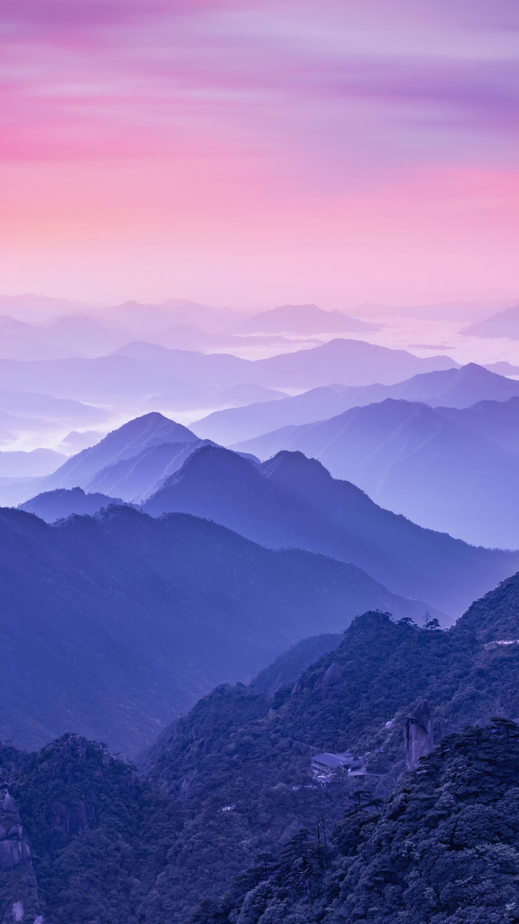 Обои Huawei, Huawei Mate, Huawei Mate 10, Huawei Mate 10 Pro, Хуавей Р20 Про в разрешении 750x1334