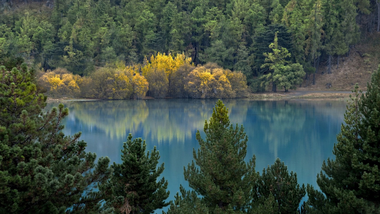 Обои вода, озеро, отражение, природный заповедник, растительность в разрешении 1280x720