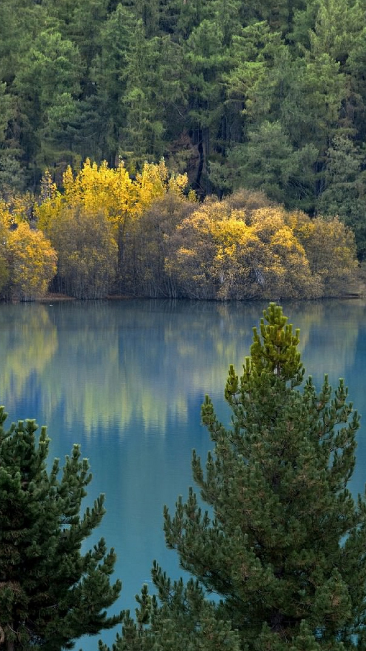 Обои вода, озеро, отражение, природный заповедник, растительность в разрешении 750x1334