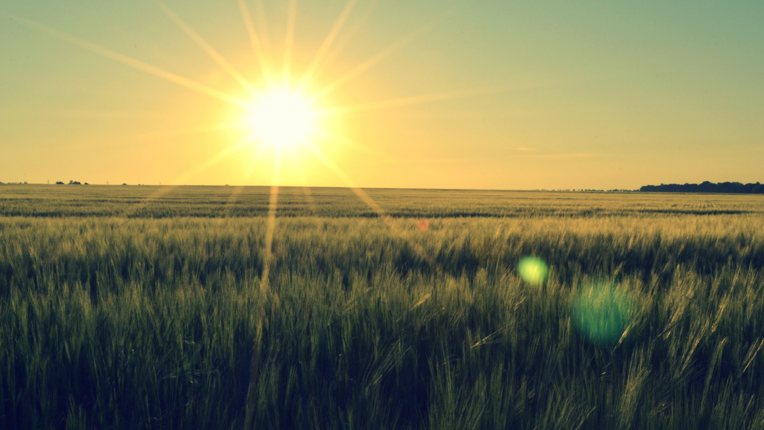 Обои закат, горизонт, сенокосное угодье, восход солнца, утро в разрешении 2560x1440