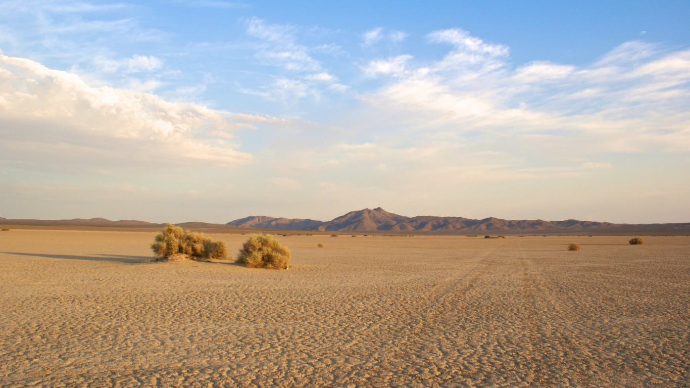 Обои пустыня, эолийские рельефы, пейзаж, эрг, экорегион в разрешении 1366x768
