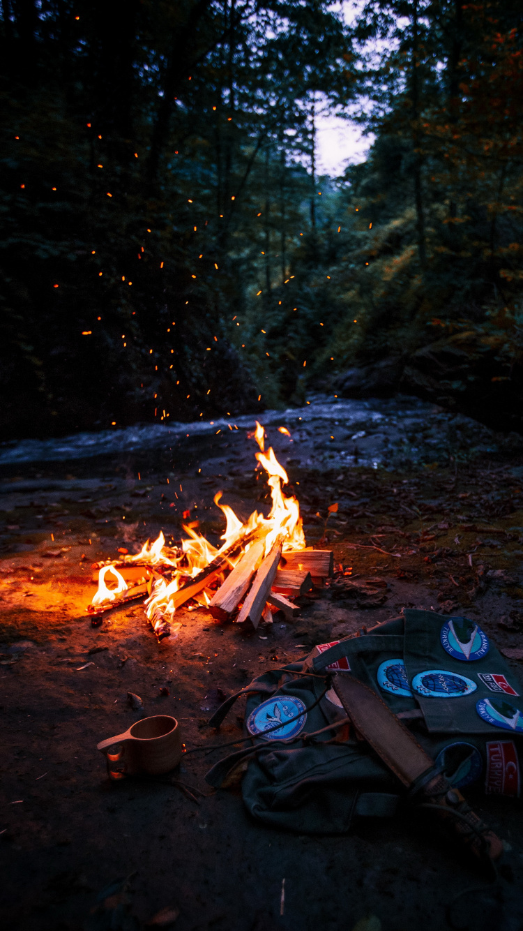 Обои палатка у костра, палатка, Кемпинг, костер, огонь в разрешении 750x1334