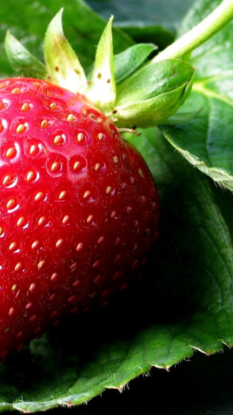 Обои клубника, фрукты, природные продукты, пища в разрешении 750x1334