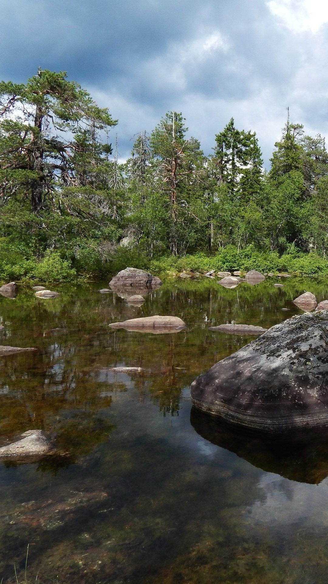 Обои природный заповедник, природа, вода, отражение, гидроресурсы в разрешении 1080x1920