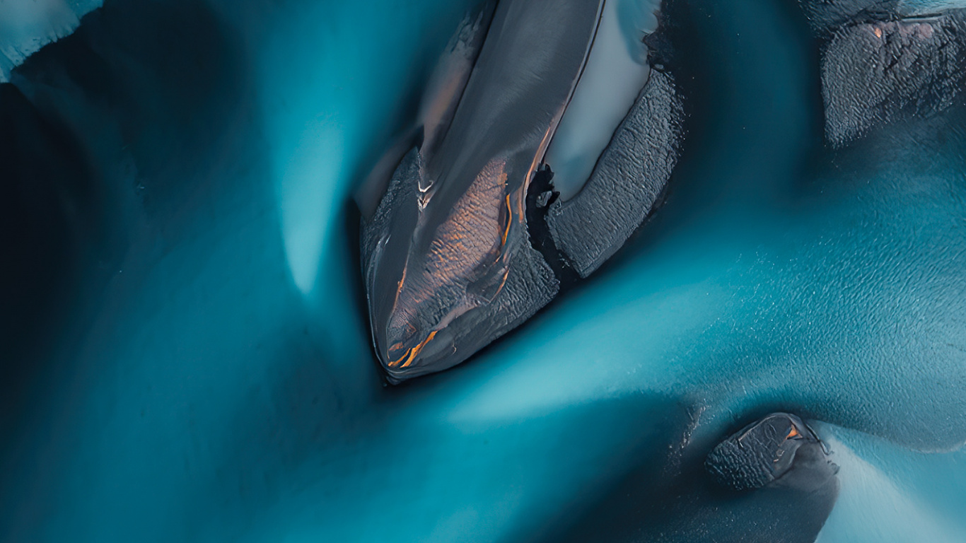 Обои вода, косаткодельфин, синий, лазурный, жидкость в разрешении 1366x768