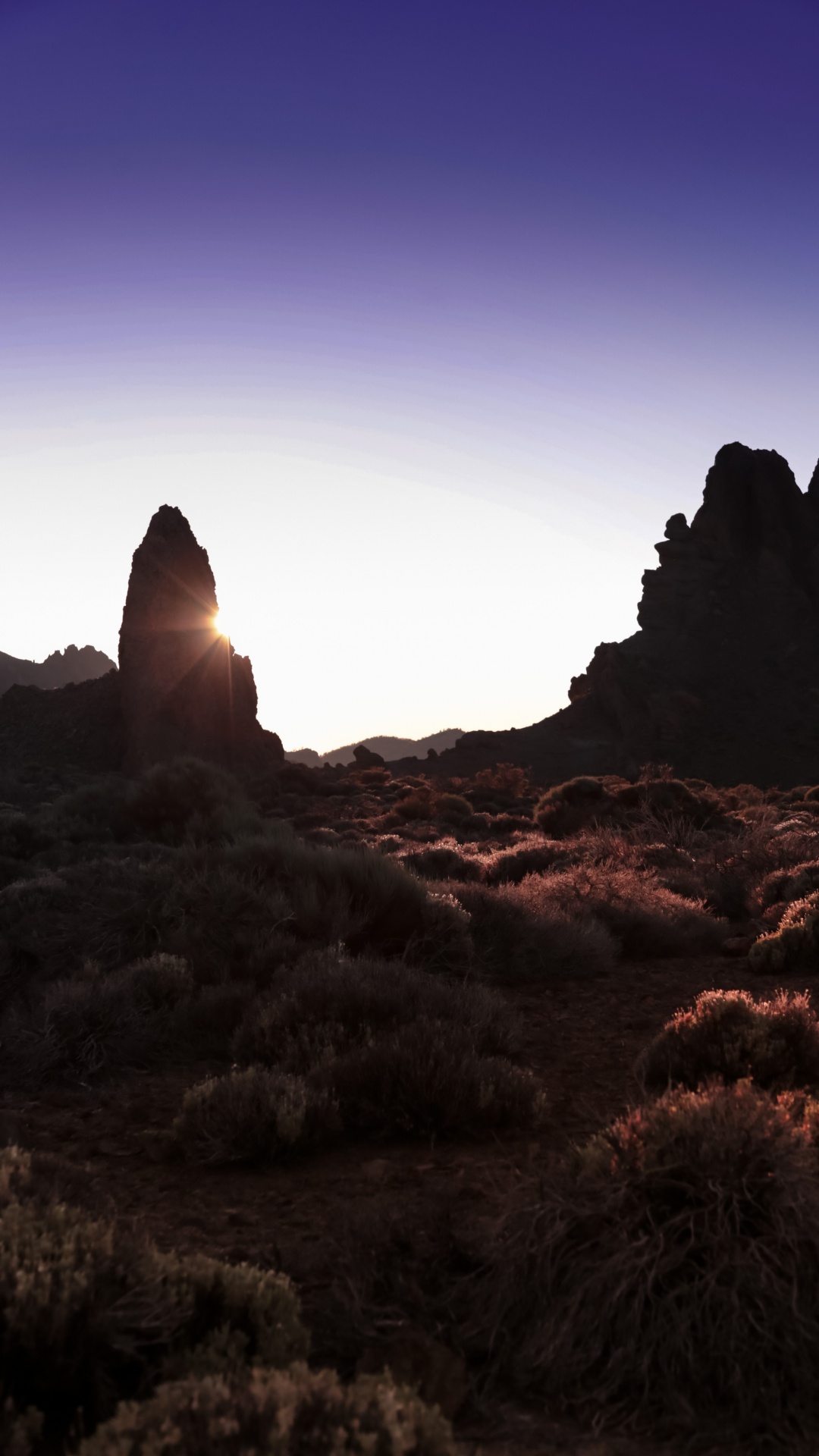 Обои бесплодные земли, любовь в свете, исследуя национальные парки америки, пространство мечты, растение в разрешении 1080x1920