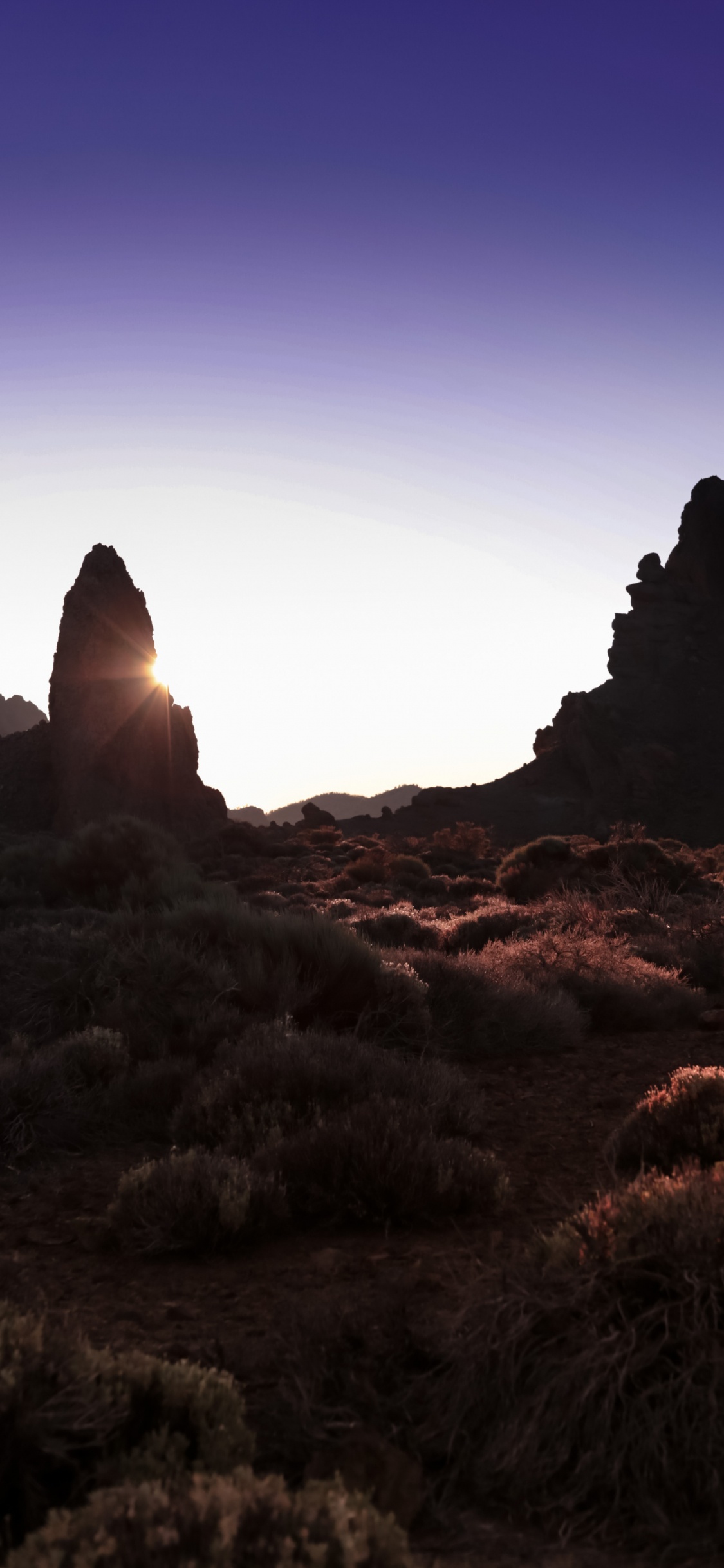 Обои бесплодные земли, любовь в свете, исследуя национальные парки америки, пространство мечты, растение в разрешении 1125x2436