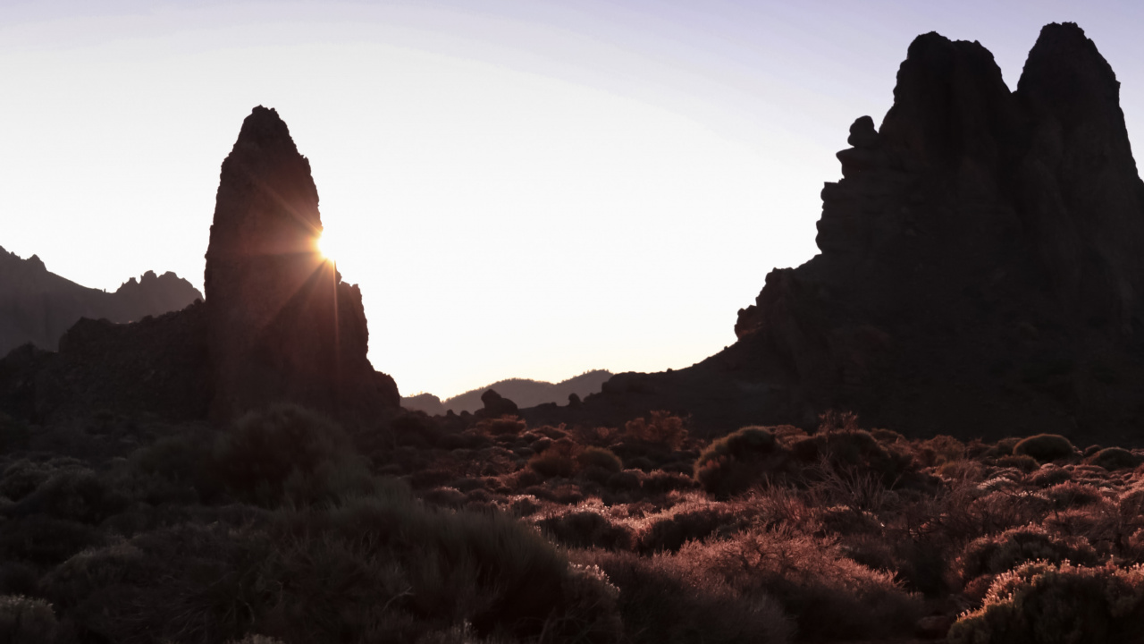 Обои бесплодные земли, любовь в свете, исследуя национальные парки америки, пространство мечты, растение в разрешении 1280x720