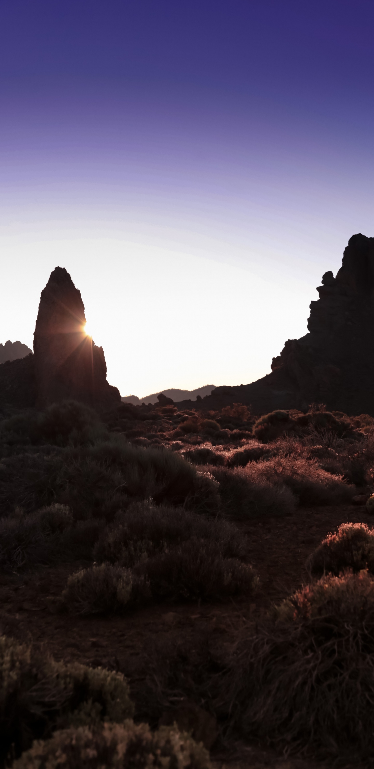 Обои бесплодные земли, любовь в свете, исследуя национальные парки америки, пространство мечты, растение в разрешении 1440x2960