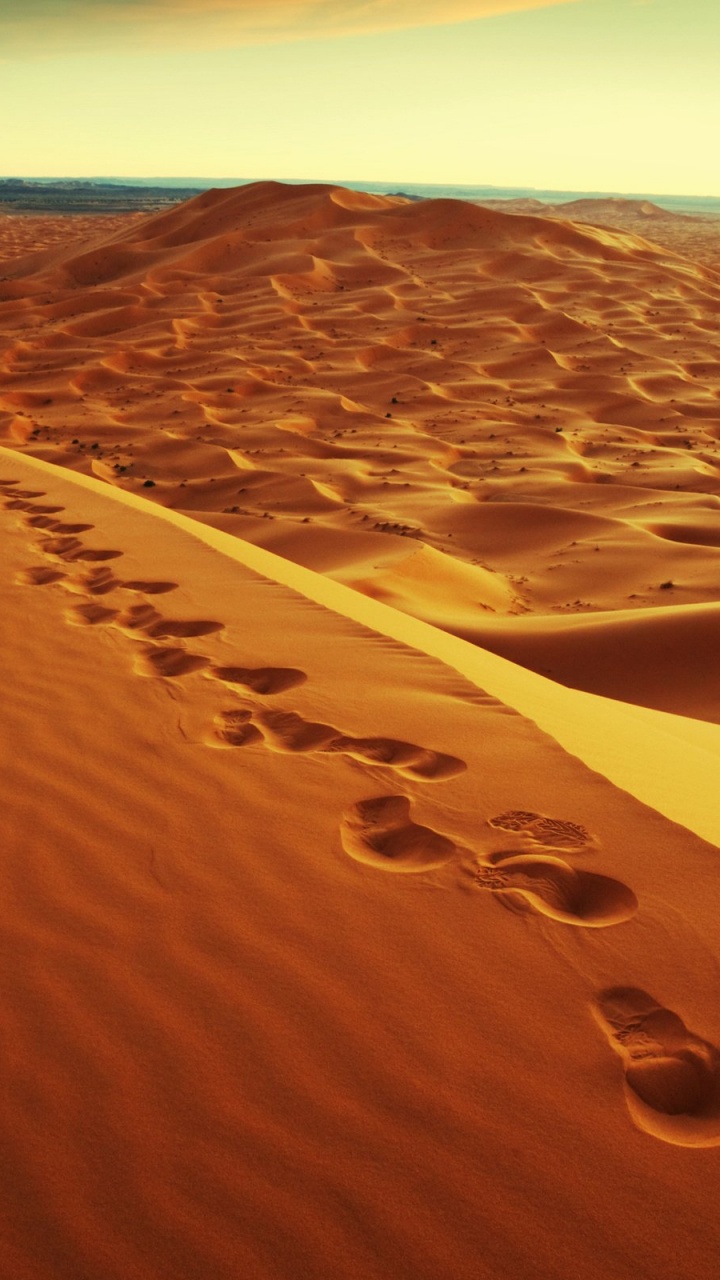 Обои пустыня, песок, эрг, эолийские рельефы, сахара в разрешении 720x1280