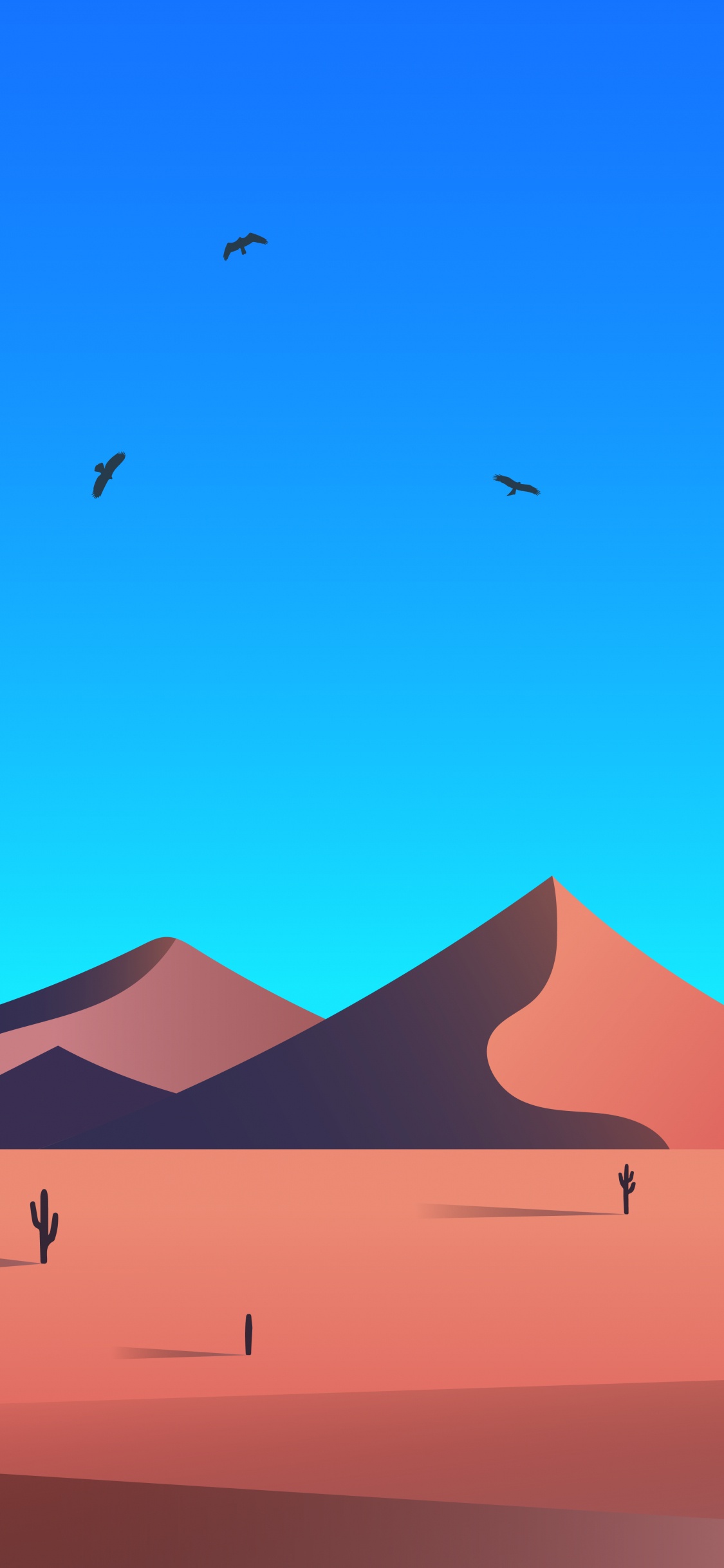 Обои экорегион, свет, лазурный, черный, птица в разрешении 1125x2436