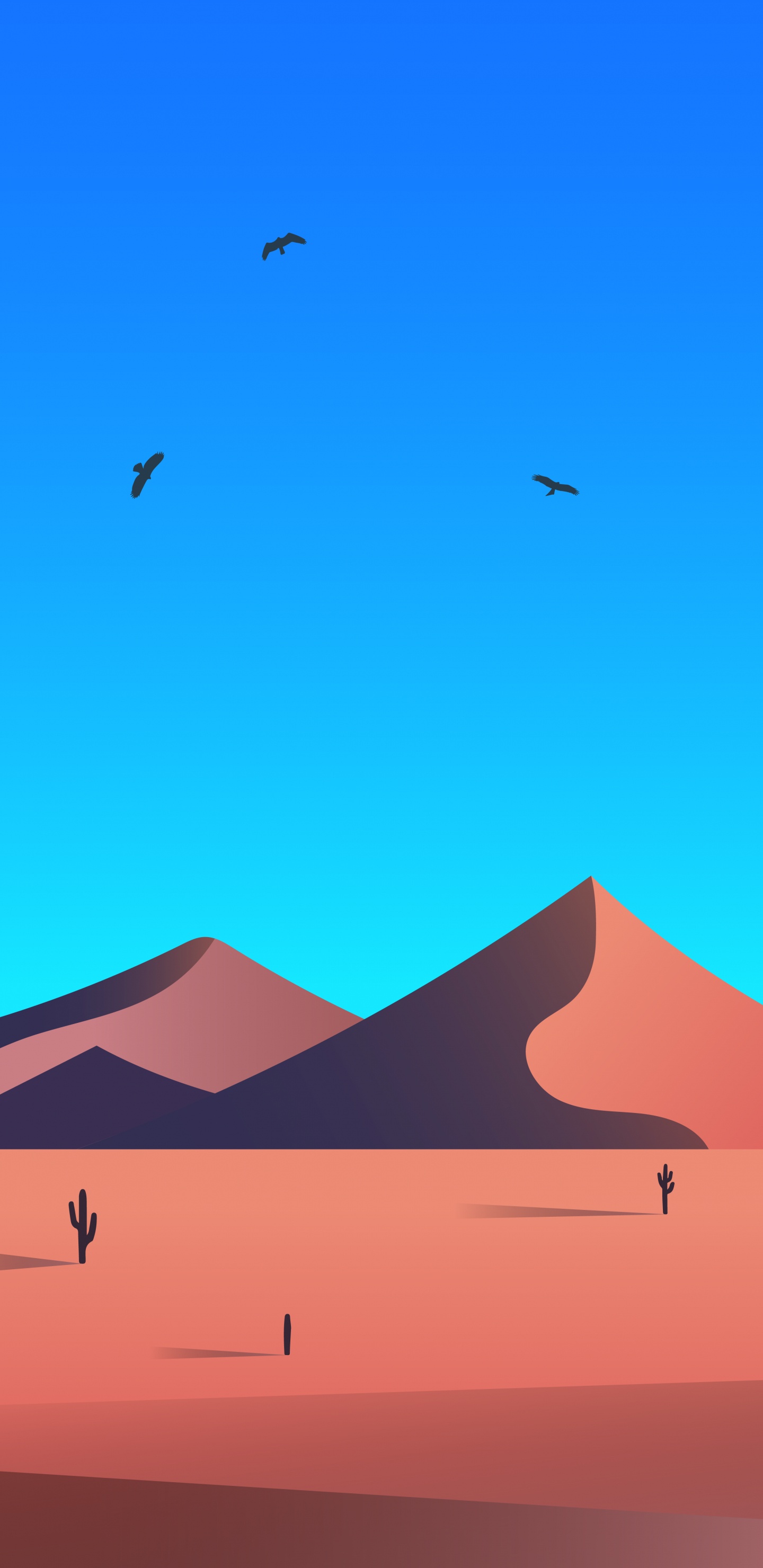 Обои экорегион, свет, лазурный, черный, птица в разрешении 1440x2960