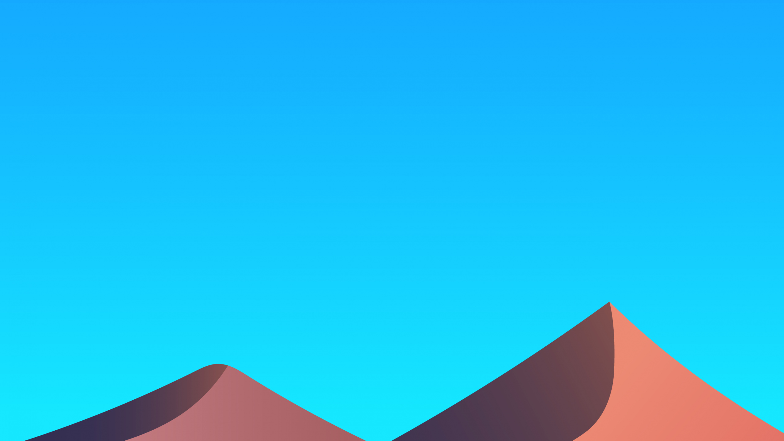 Обои экорегион, свет, лазурный, черный, птица в разрешении 2560x1440