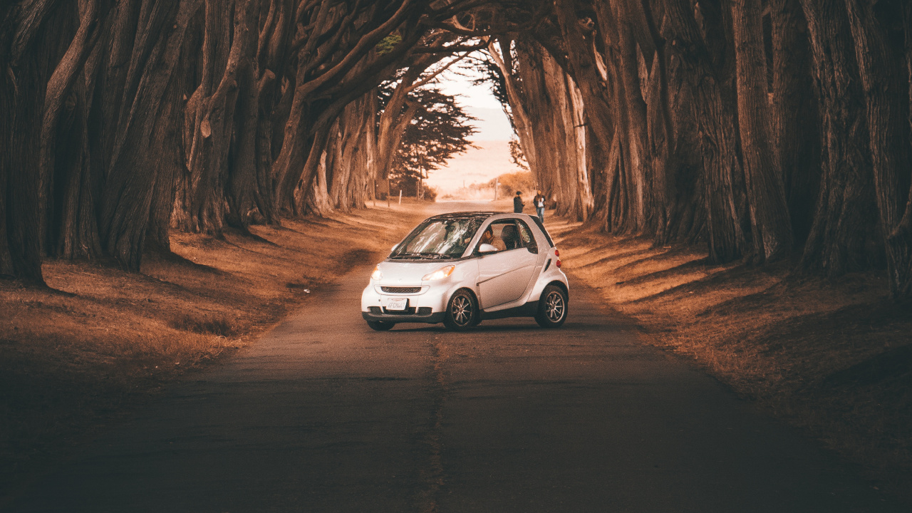 Обои авто, дерево, дорога, инфраструктура, компактный автомобиль в разрешении 1280x720