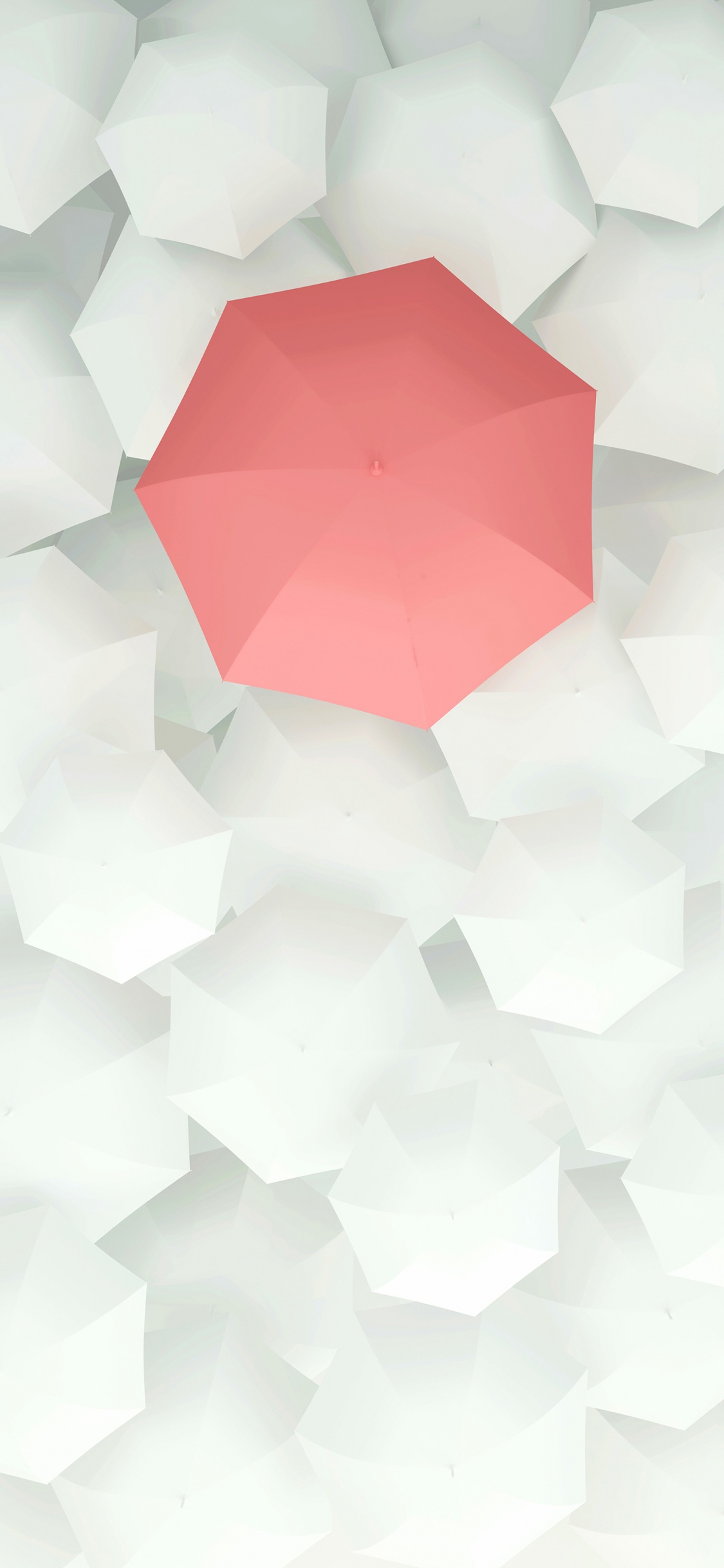 Обои лепесток, розовый, искусство, треугольник, арт в разрешении 1125x2436