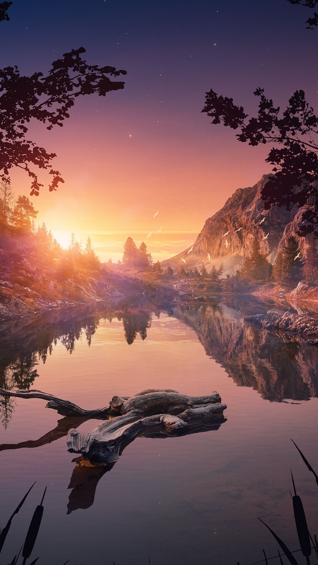 Обои свет, вода, облако, растение, гидроресурсы в разрешении 1080x1920