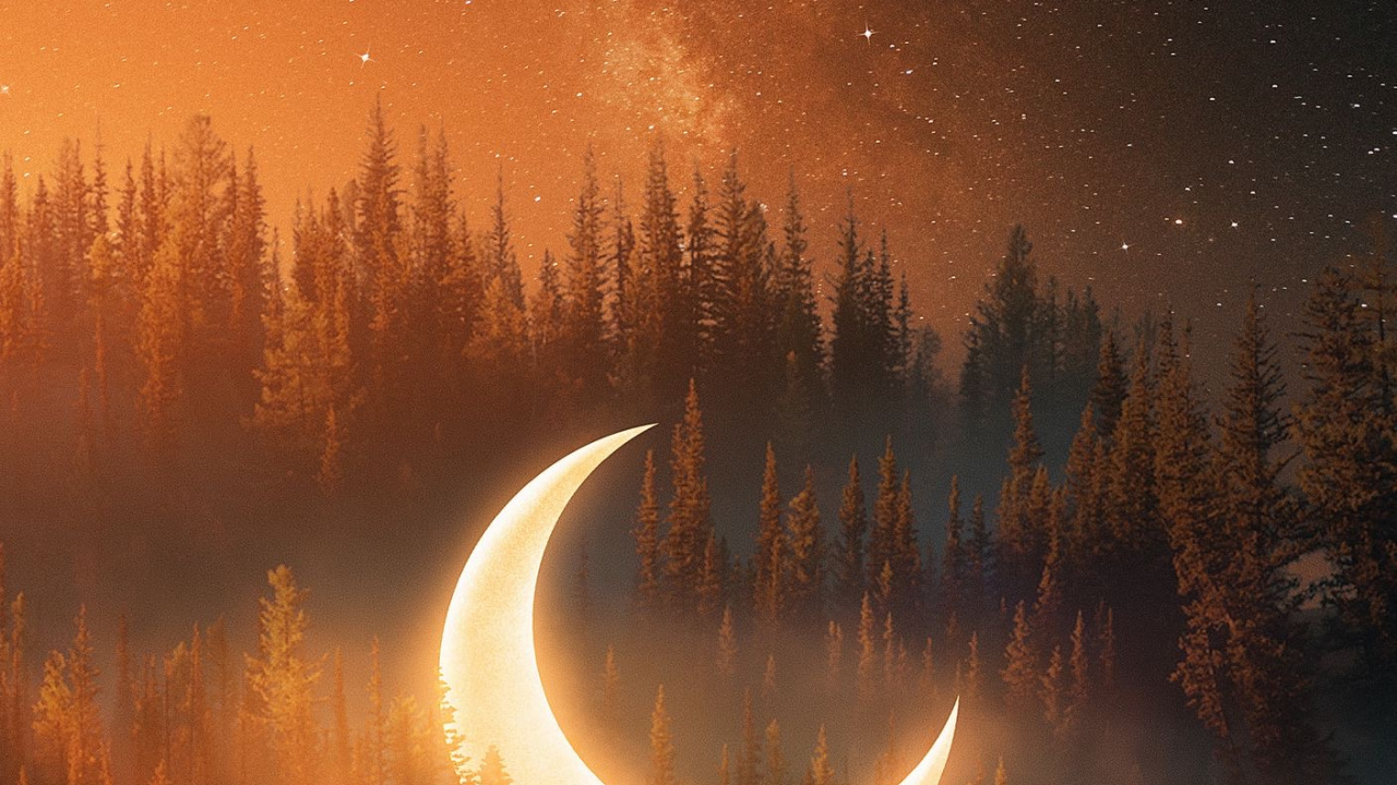 Обои природа, атмосфера, природный ландшафт, мир, дерево в разрешении 1280x720