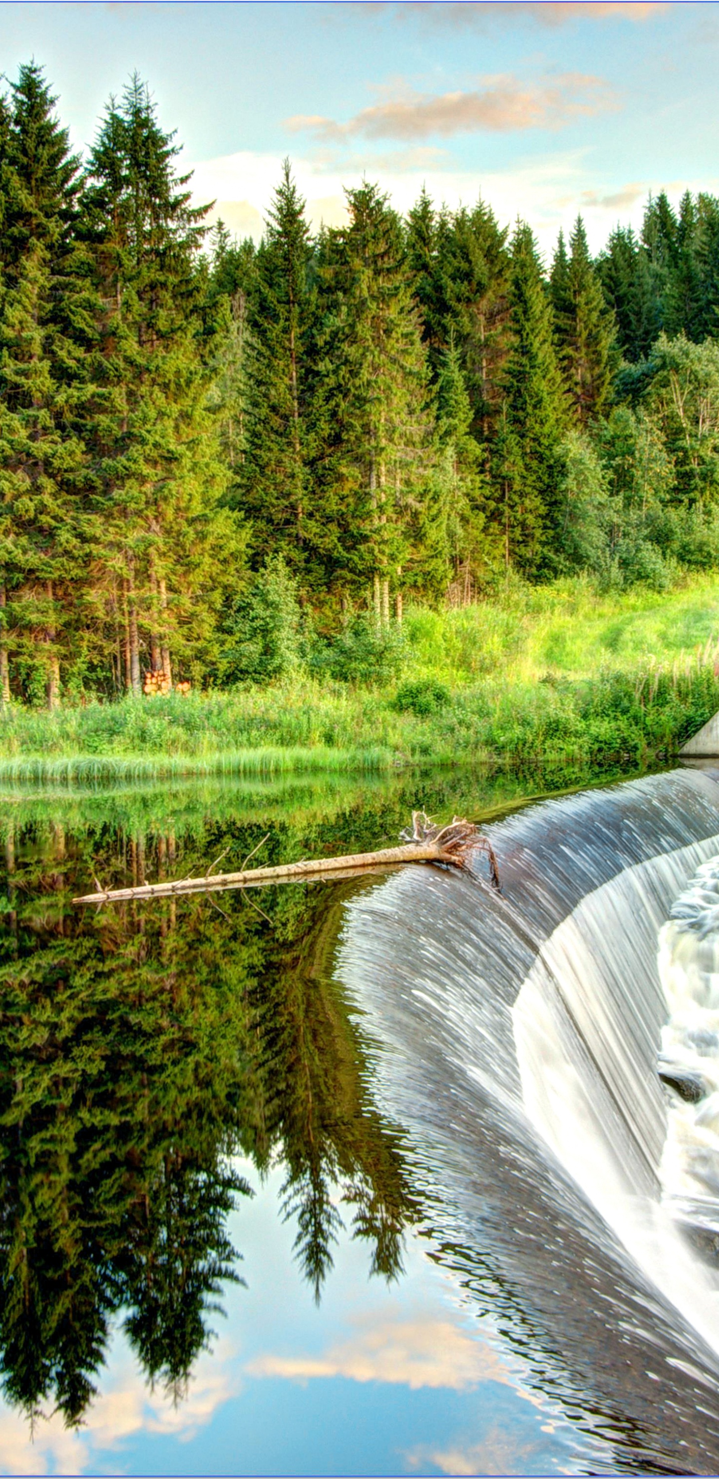 Обои лес, природный ландшафт, природа, отражение, водоем в разрешении 1440x2960
