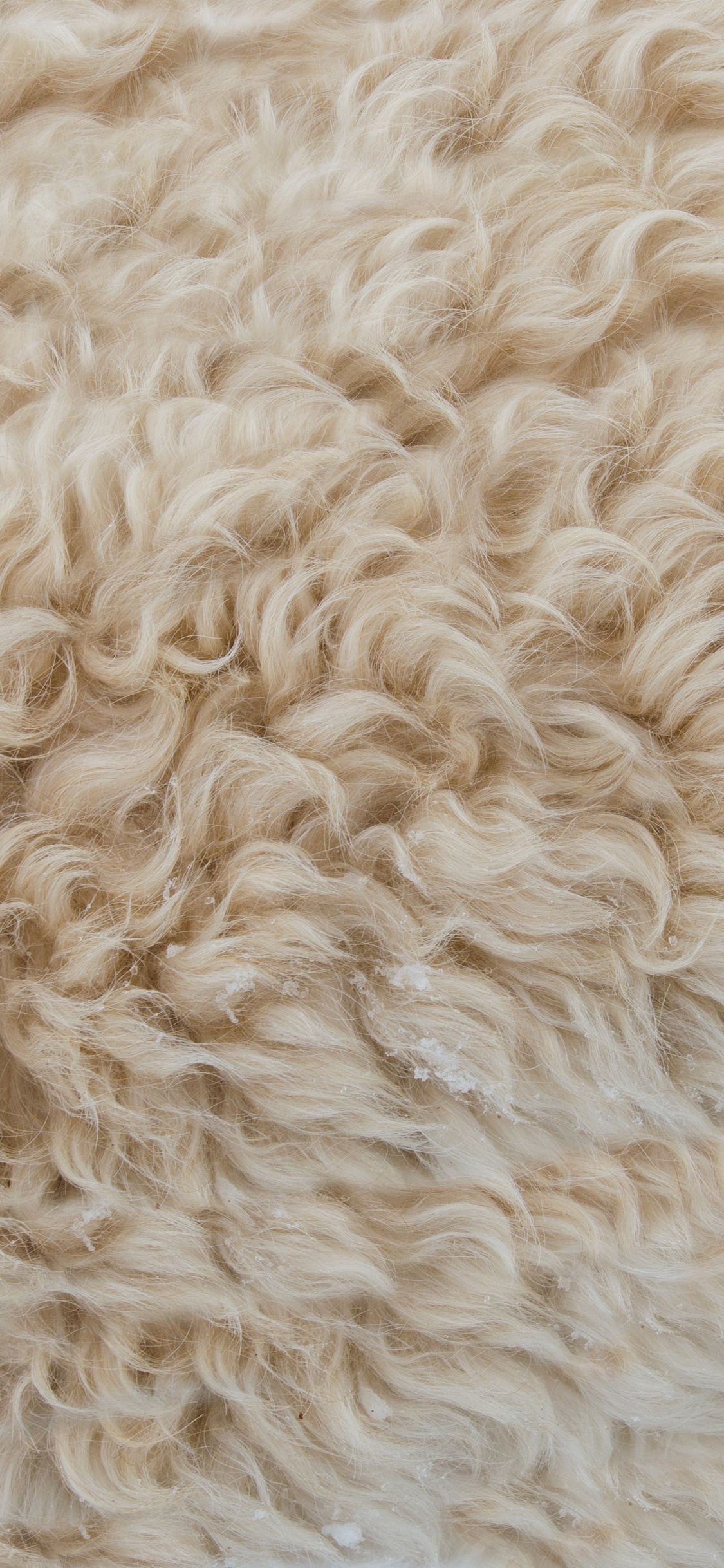 Обои шерсть, ткань, мех, хлопок, шерстяные вещи в разрешении 1125x2436