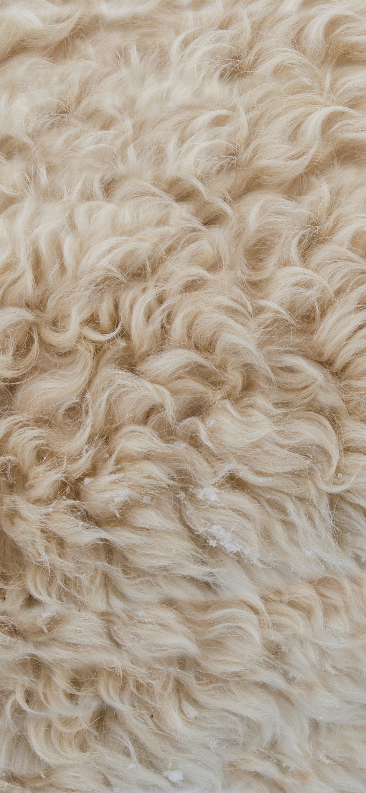 Обои шерсть, ткань, мех, хлопок, шерстяные вещи в разрешении 1242x2688