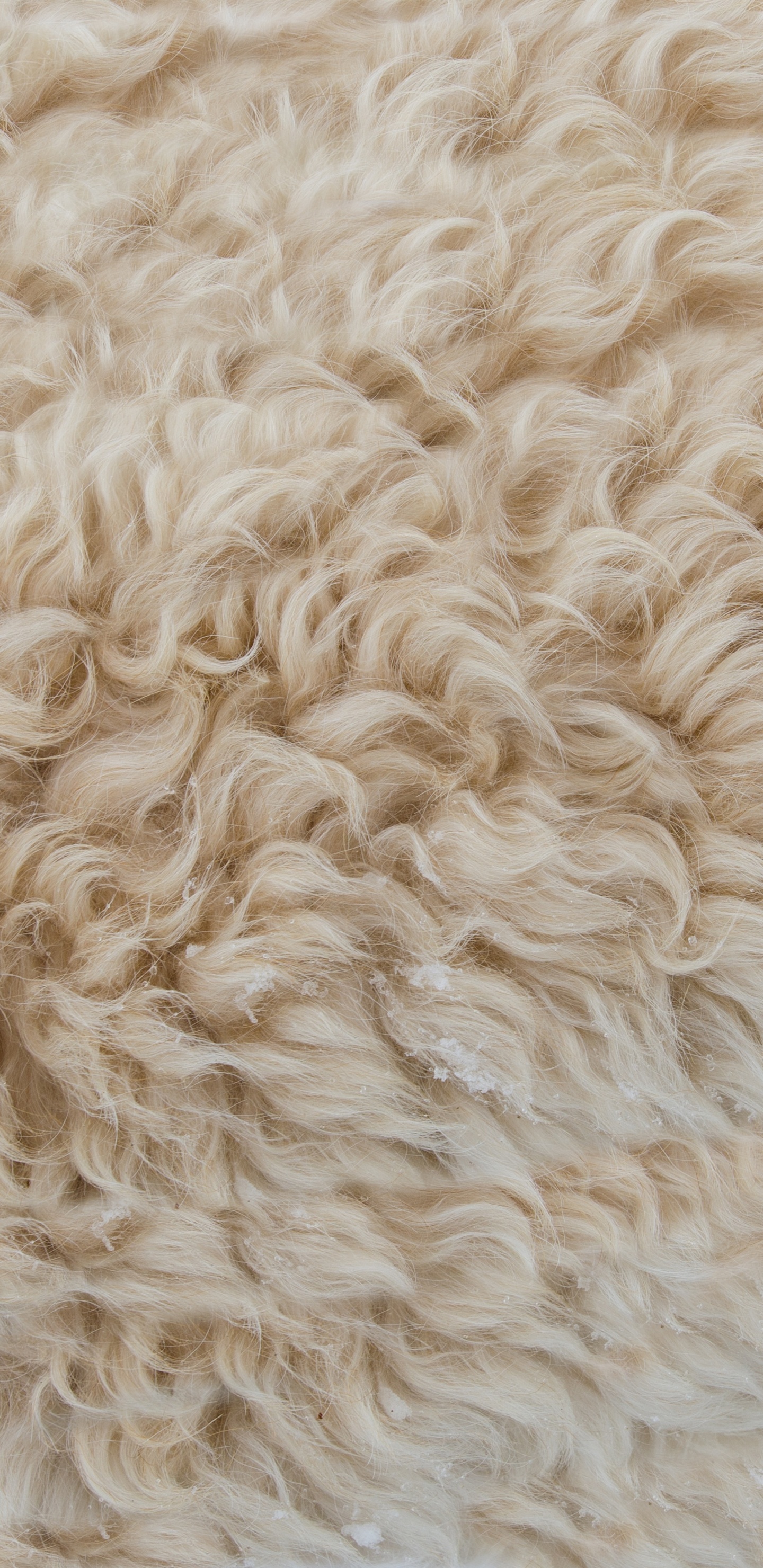 Обои шерсть, ткань, мех, хлопок, шерстяные вещи в разрешении 1440x2960
