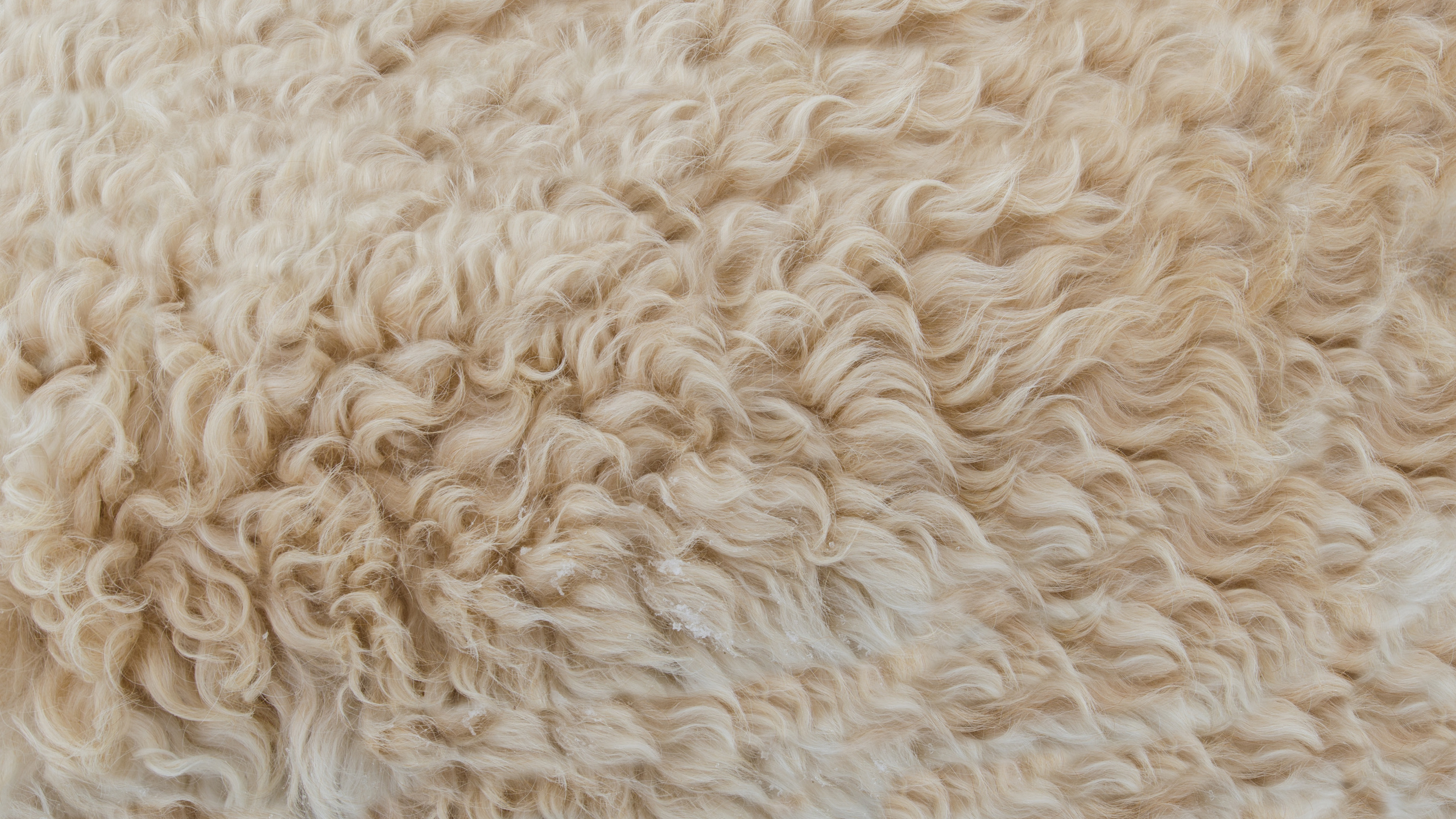 Обои шерсть, ткань, мех, хлопок, шерстяные вещи в разрешении 2560x1440