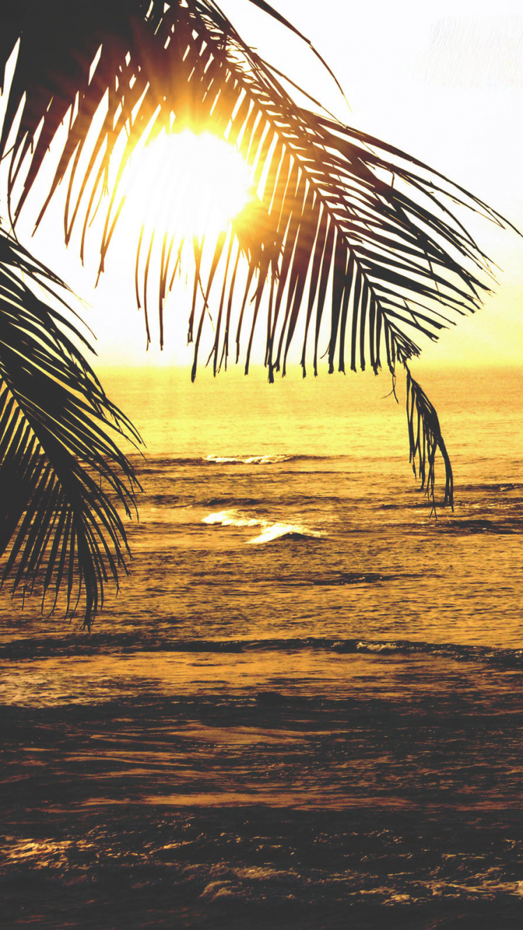 Обои Гоа, путешествие, горизонт, закат, море в разрешении 750x1334