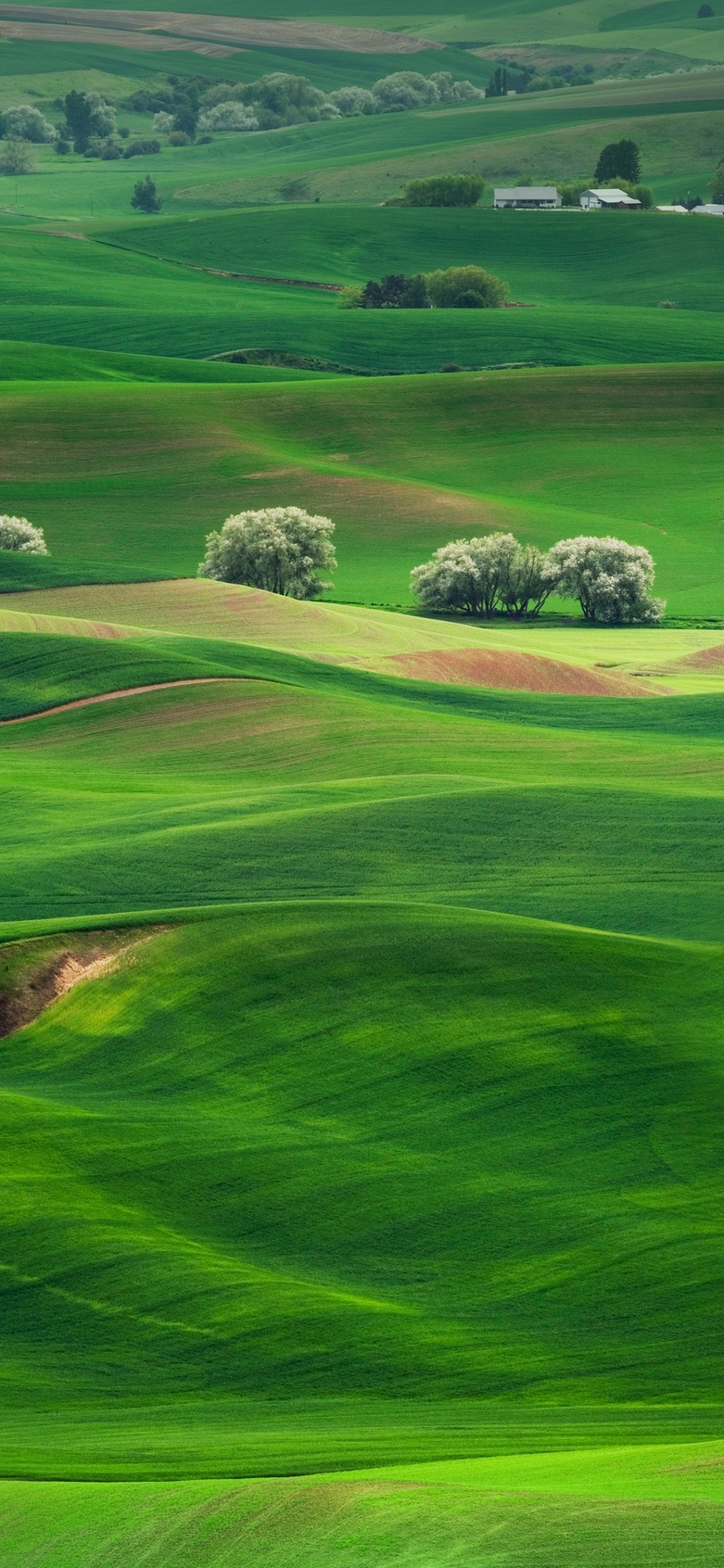 Обои Huawei, Huawei Mate, Huawei Mate 10, пейзаж, театральные декорации в разрешении 1125x2436