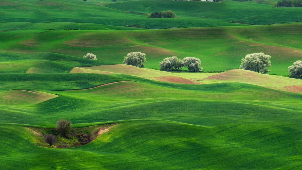 Обои Huawei, Huawei Mate, Huawei Mate 10, пейзаж, театральные декорации в разрешении 1280x720