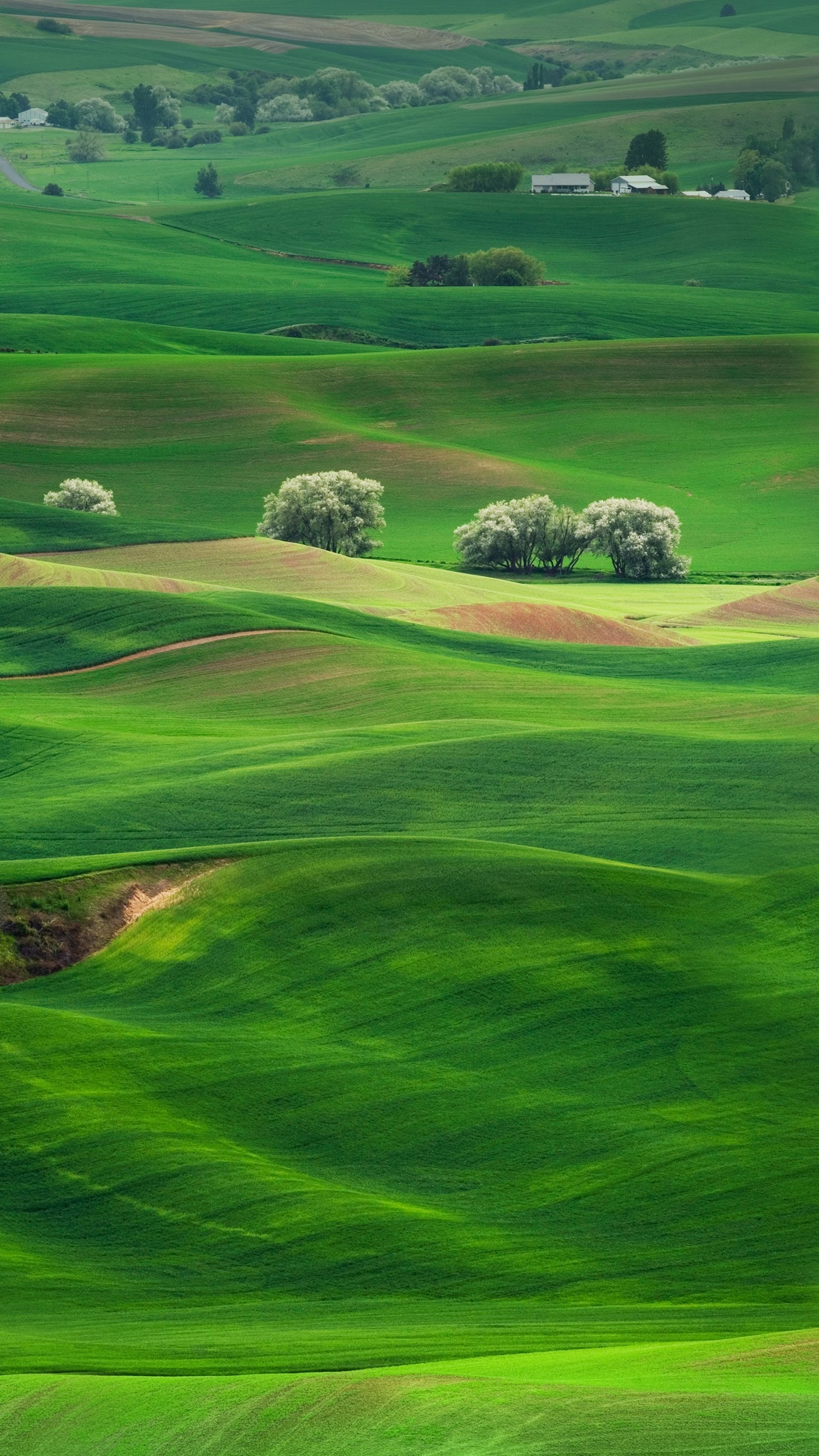 Обои Huawei, Huawei Mate, Huawei Mate 10, пейзаж, театральные декорации в разрешении 1440x2560