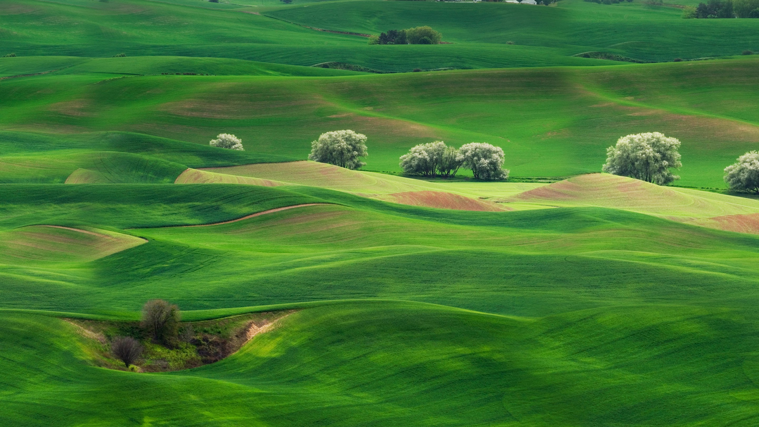 Обои Huawei, Huawei Mate, Huawei Mate 10, пейзаж, театральные декорации в разрешении 2560x1440