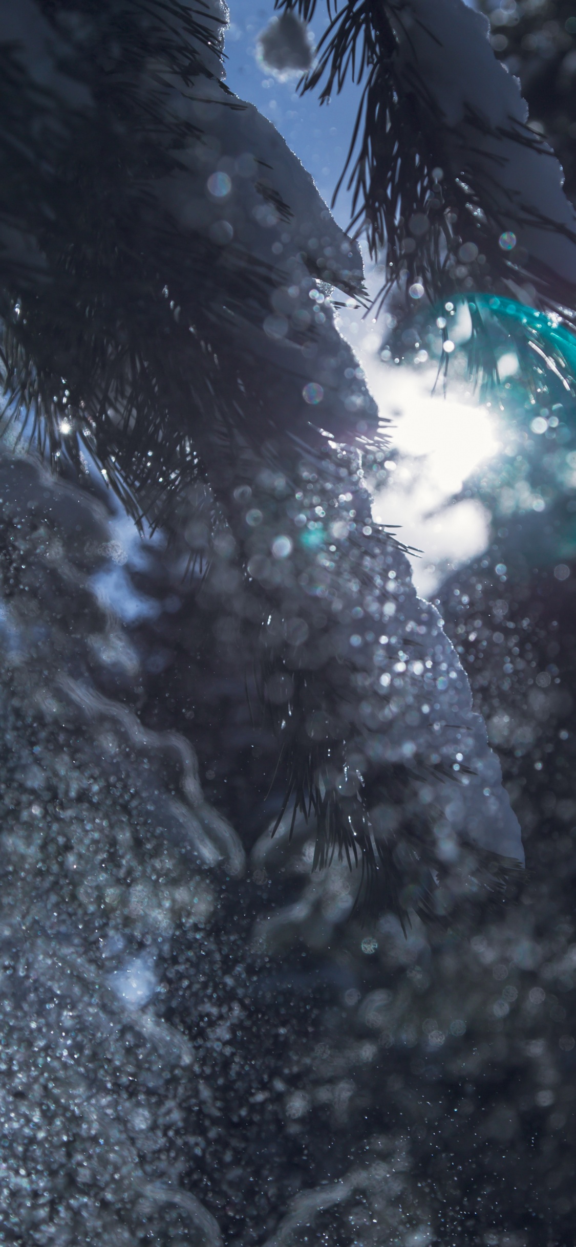 Обои боке, вода, темнота, дерево, отражение в разрешении 1125x2436