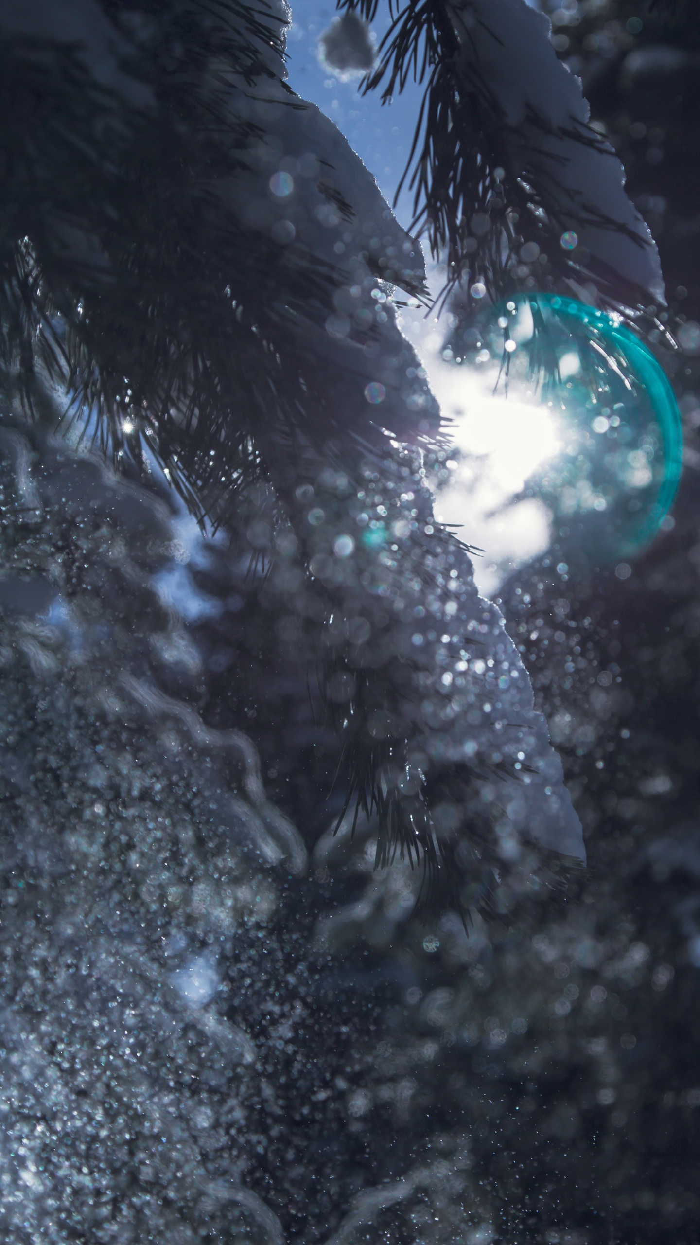 Обои боке, вода, темнота, дерево, отражение в разрешении 1440x2560