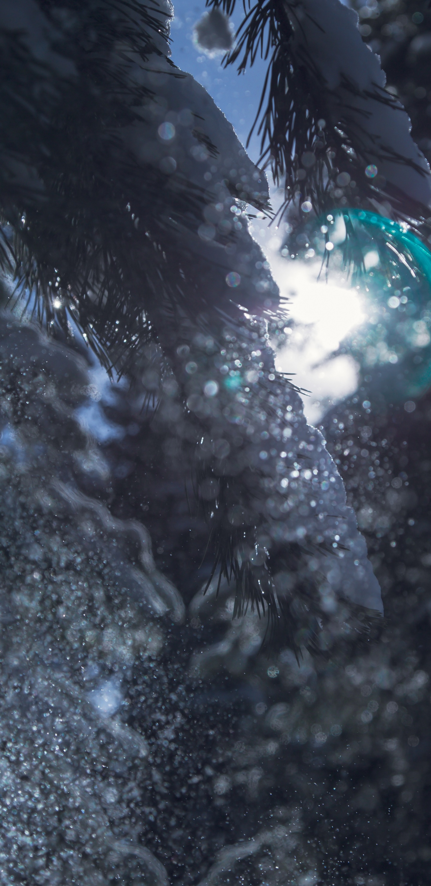 Обои боке, вода, темнота, дерево, отражение в разрешении 1440x2960