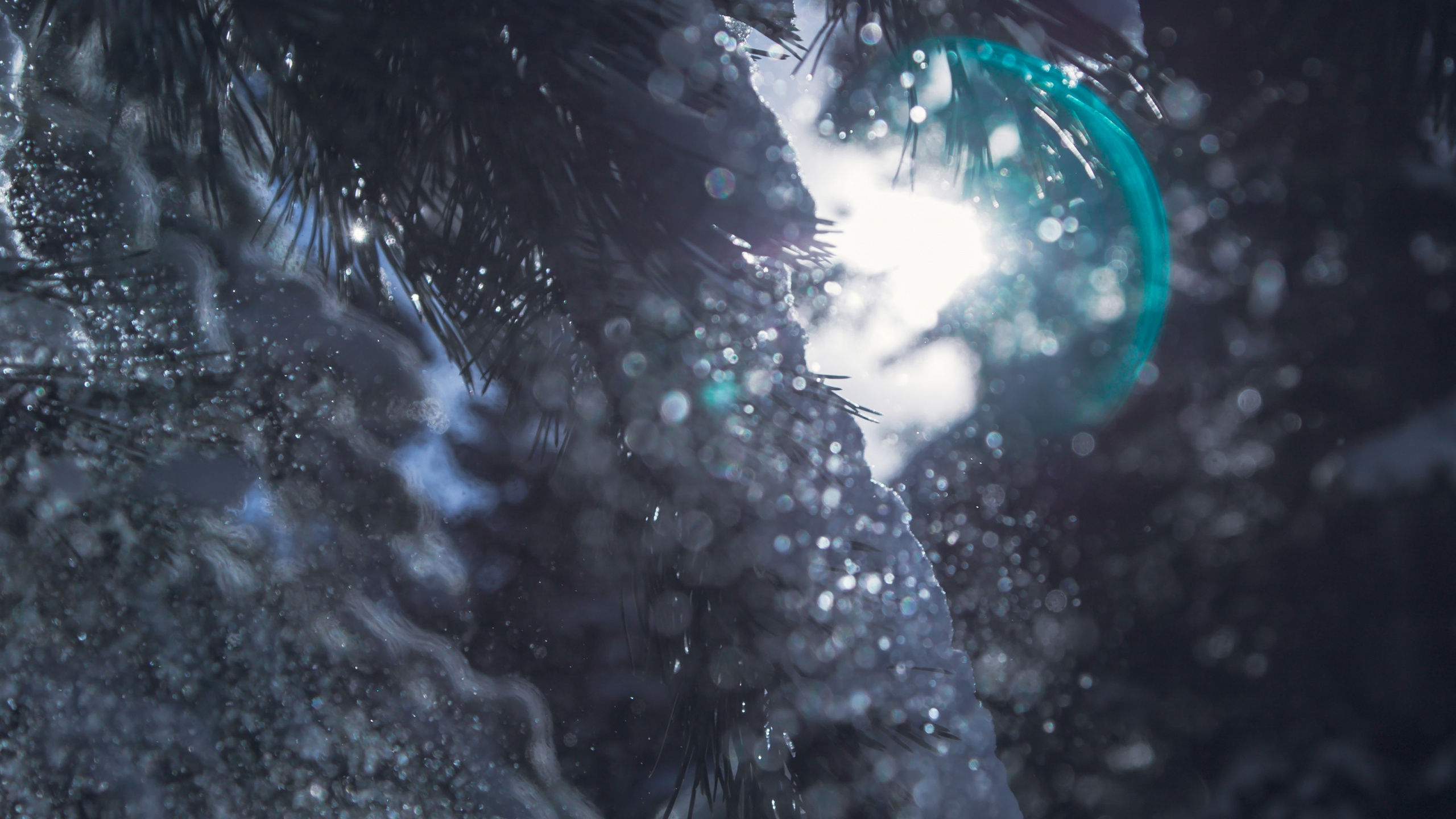 Обои боке, вода, темнота, дерево, отражение в разрешении 2560x1440