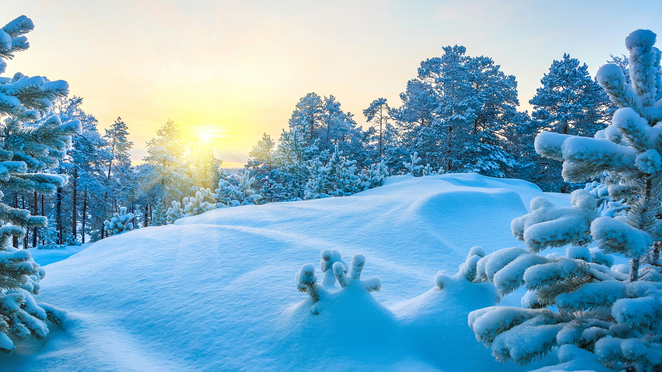 Обои снег, зима, синий, природа, дерево в разрешении 1366x768