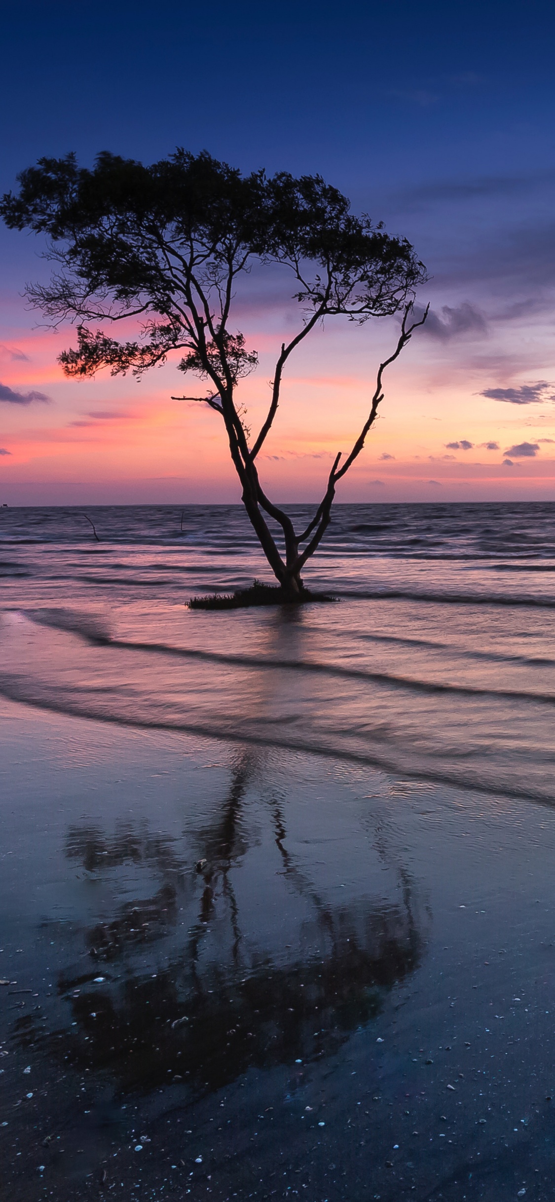 Обои природа, горизонт, природный ландшафт, океан, море в разрешении 1125x2436