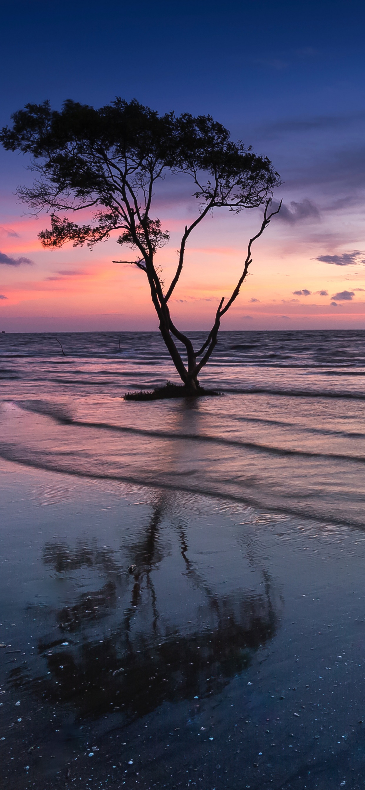 Обои природа, горизонт, природный ландшафт, океан, море в разрешении 1242x2688
