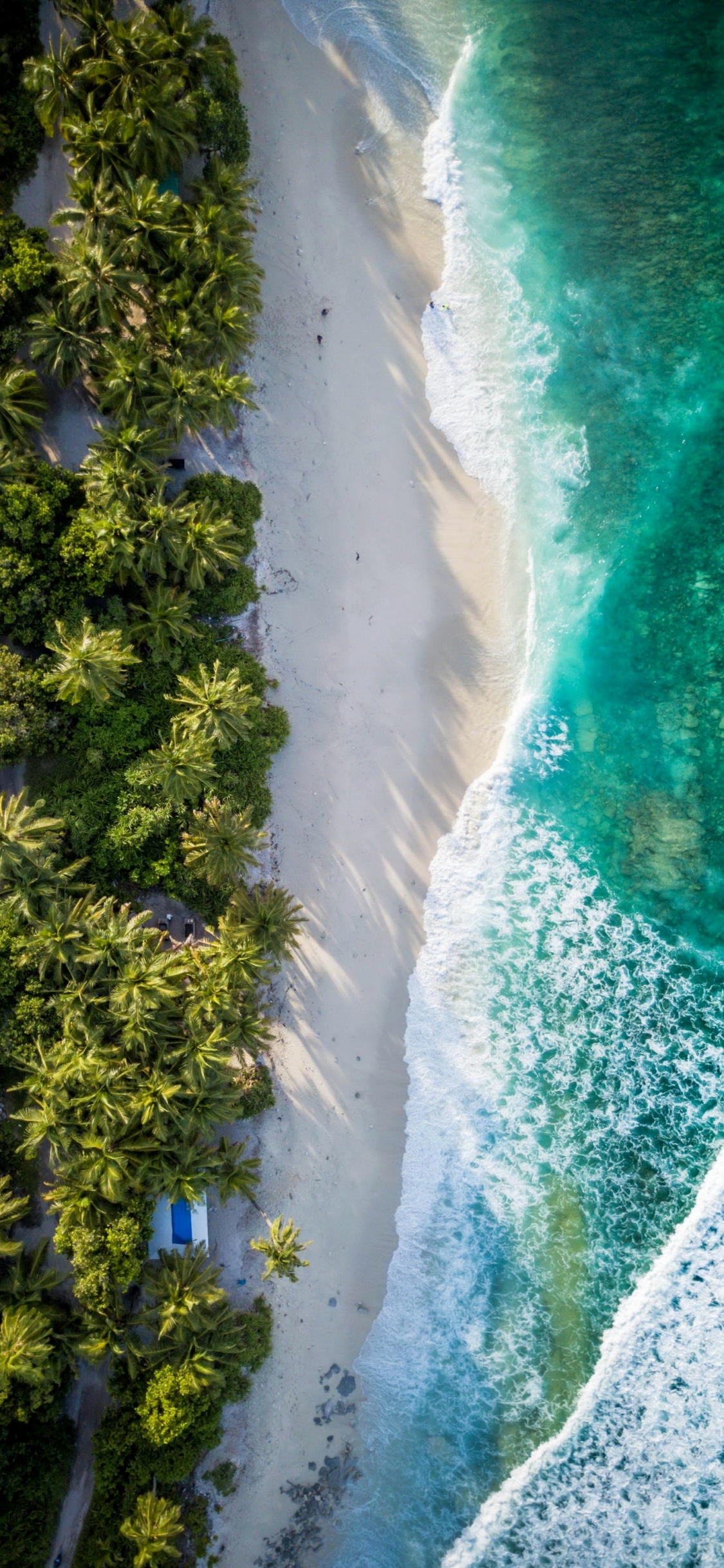 Обои фувахмула, полет, море, природа, вода в разрешении 1125x2436