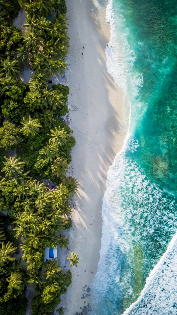 Обои фувахмула, полет, море, природа, вода в разрешении 720x1280