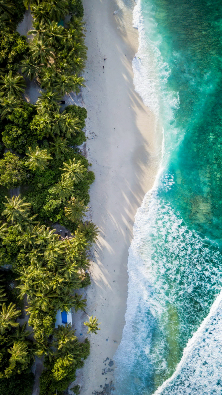 Обои фувахмула, полет, море, природа, вода в разрешении 750x1334