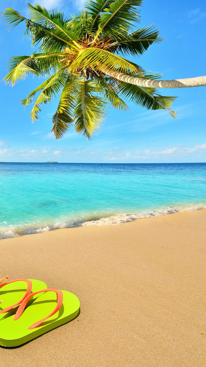 Обои пляж, лето, отпуск, тропическая зона, Карибский бассейн в разрешении 720x1280