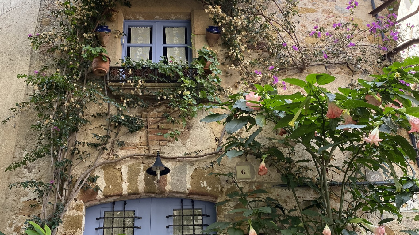 Обои цветок, недвижимость, архитектура, пурпур, стена в разрешении 1366x768