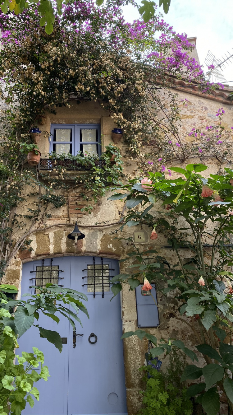 Обои цветок, недвижимость, архитектура, пурпур, стена в разрешении 750x1334