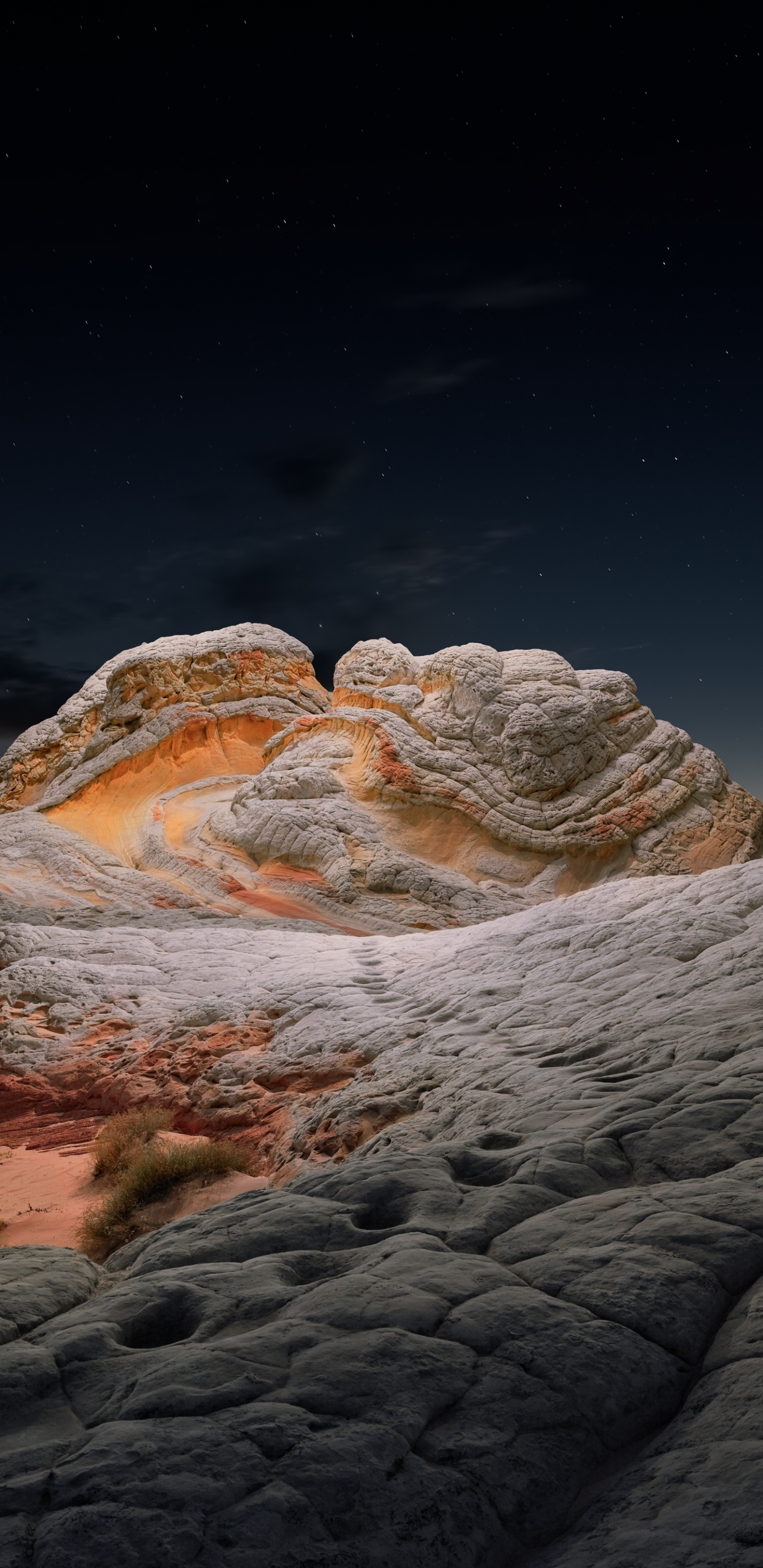 Обои айпад, ipad pro, apple, iPad Air, iOS 14 в разрешении 1440x2960