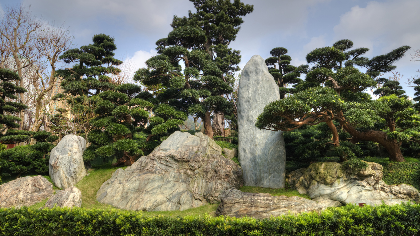 Обои дерево, сад, рок, растительность, растение в разрешении 1366x768