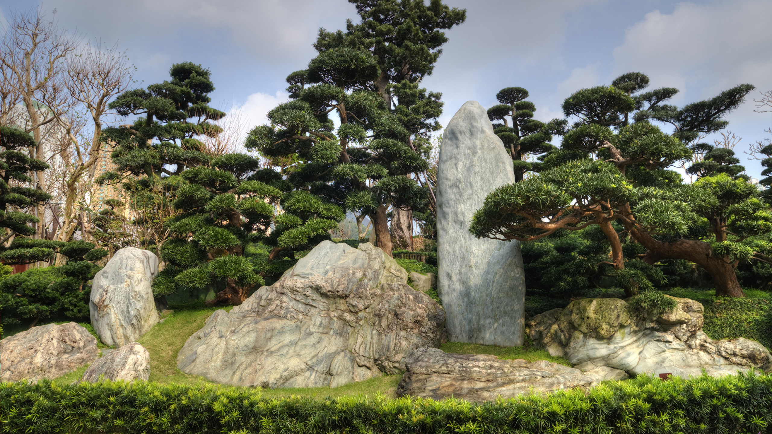 Обои дерево, сад, рок, растительность, растение в разрешении 2560x1440