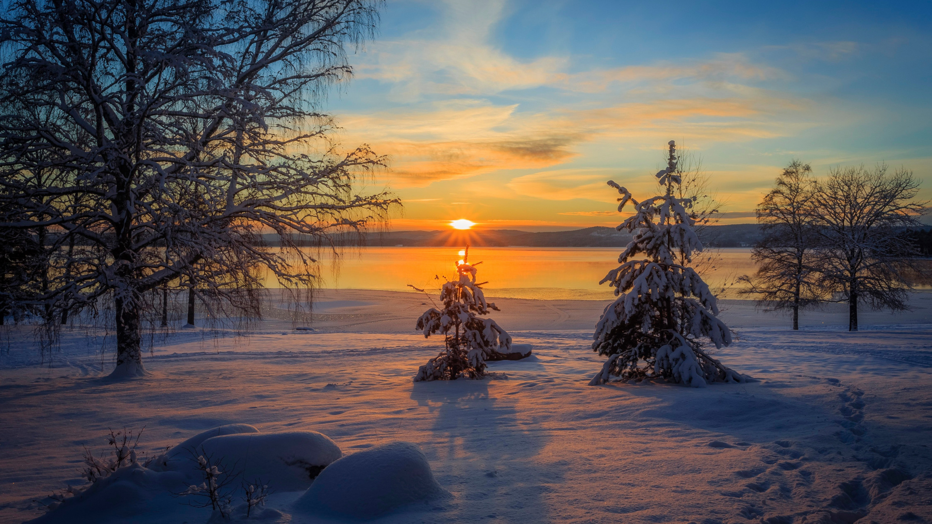 Обои восход солнца, закат, зима, снег, дерево в разрешении 1920x1080