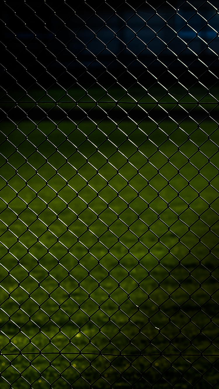 Обои ячейка, зеленый, свет, темнота, линия в разрешении 750x1334